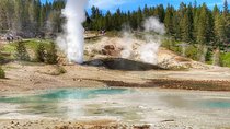 North Yellowstone Day Tour (Lamar Valley) Private Day Tour 