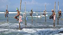 14-nights/15-days Sri Lanka round tour by Minivan - with Udawalawa Safari