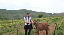 Albanian Highlights - UNESCO sites ,Nature and Food tour 