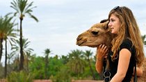 Desert Agafay and Atlas Mountains & Camel ride Day Trip From Marrakech