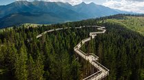 From Krakow: Zakopane, Slovakia Treetop Walk & Thermal Baths