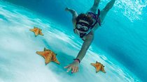 Explore El Cielo in Cozumel. Snorkel in 3 different reefs & visit Cielito Beach.