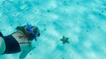 El Cielo Cozumel, a paradisiacal tour. Be amazed by the stars near to you.