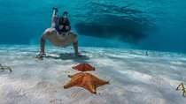 Snorkeling adventure through 'El Cielo' Cozumel. Included Food & Transportation