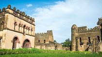 7 Days tour Historic Rout ,Addis Ababa,Bahir Dar,Gondar, Lalibela & Axum