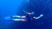 Scuba Refresher Course (half day)