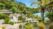 Marlborough Sounds Day Visit to Lochmara