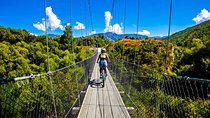 Bike & Wine Tour: Arrowtown to Valley of the Vines