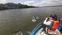 Dolphin Watching in Puerto El Morro from Guayaquil