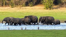 Kaudulla National Park Private Safari from Habarana