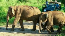 Hurulu Eco Park Private Safari with Naturalist