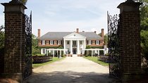 Charleston’s Tapestry: A Journey Through Time and Color