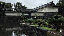 Cherry blossom tour in Tokyo 