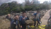 Non Swimmers Discovery Tour ocean 