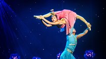 Beijing Afternoon Tour to Silk Market & Chaoyang Acrobatic Show