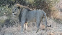 1-day Tanzania small group sharing safari - Manyara N.P