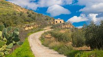  Romantic Tour In Irbid