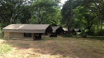 Tanzania 8 Day Private Safari Experience