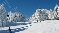 Tbilisi - Bakuriani - Borjomi private transfer 