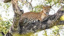 Wilpattu National Park Safari with Naturalist