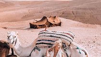 Half-Day Private Tour in Agafay Desert with Dinner
