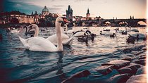 Budapest to Prague - Private Transfer with 2 hours of Sightseeing