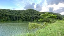 Easy Walk to Visit Kedareshwor Mahadev Temple and Natural Parks