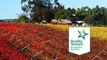 Swan Valley Region Private Day Tours