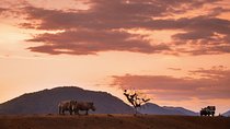 4 Days Kruger National Park Safari Tour