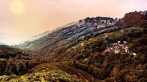  Romantic tour in Darjeeling