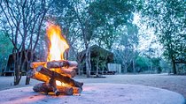  Sabi Sands Reserve Express Safari 5 days/ 4Nights ( Comfort)