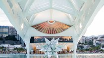 Guided Tour to the Museum of Tomorrow