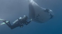 Open Water Diver Certification OWD