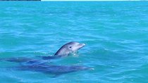 Private Sian Kaan Biosphere Tour