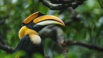 Birdwatching Trek in Anawilundawa Sanctuary from Colombo