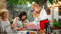 Olive museum Klis with educational olive oil tasting 