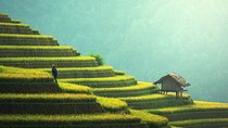 Private Guided Romantic Walking Tour of Bali