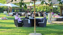 Private visit to Stellenbosch Franschoek Paarl from Cape Town F/d
