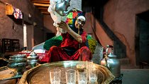 Day tour in Ourika valley and the Atlas mountains 
