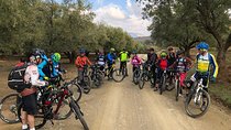 from Marrakech: Full Day Bike Trip Imlil, Sidifaress to Asni 