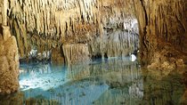 Cenotes and Paradise Lagoon