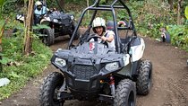 Jungle Buggy Adventure and Ubud Tour