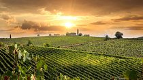  Siena San Gimignano Lunch&WineTasting from Livorno Cruise Port 
