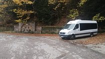 Shared Transfer 