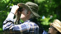 Birdwatching Walk in Thalangama Wetland from Colombo
