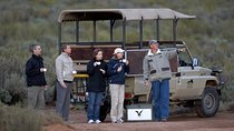 Private Safari Tour to Aquila Private Game Reserve excluding Entrance Fees