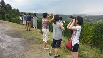 Siena Monteriggioni San Gimignano with Lunch&WineTasting Fullday from Florence