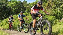 Private Tour : West Coast Nature E-bike with Wildlife & Darling Brew 