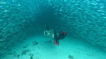 Discover a Mayan Adventure with cenotes & a lagoon. Snorkel & Buffet included.