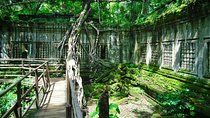 Ruined Temple Discovery Tour